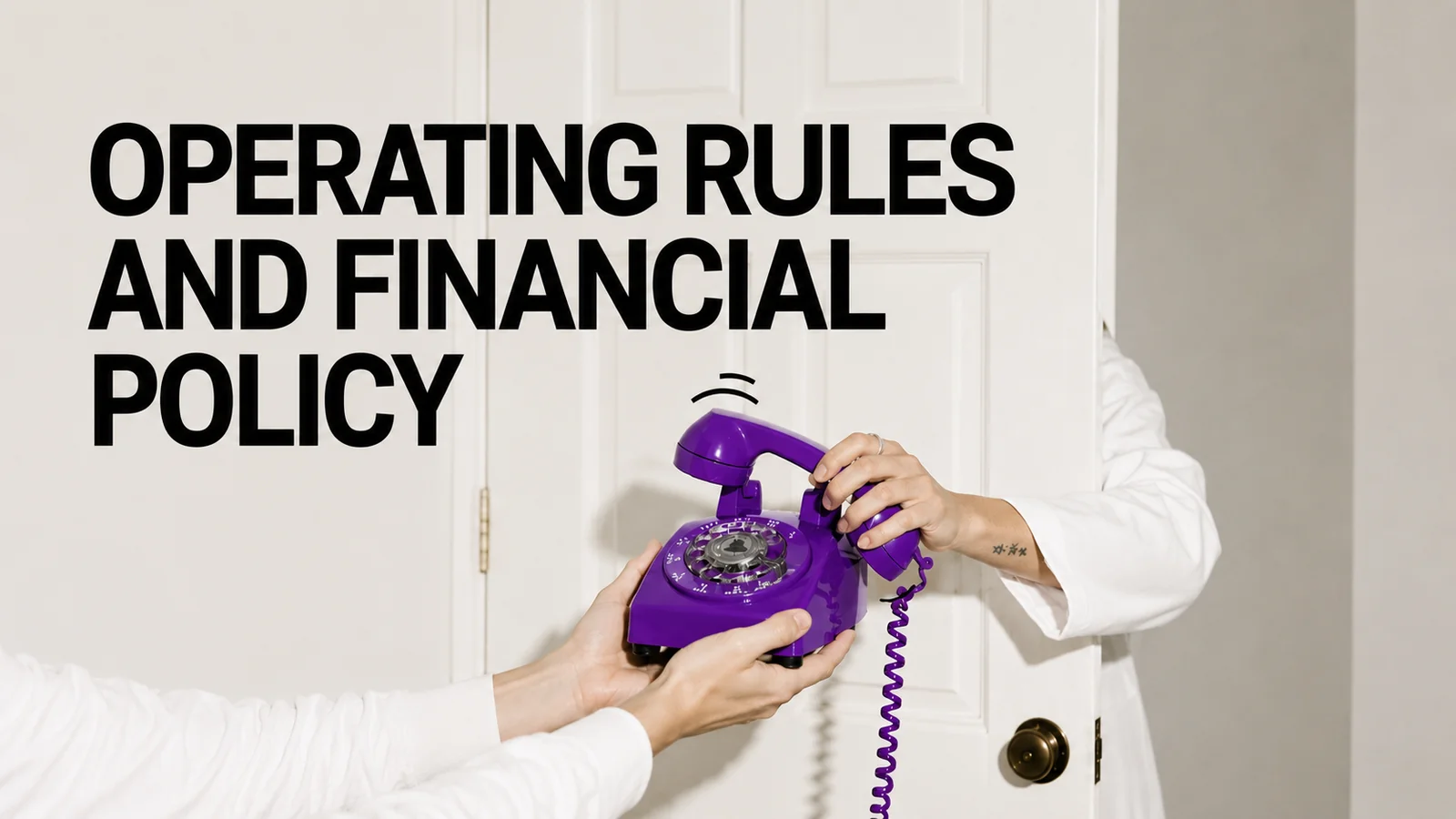 Operating rules and financial policy of Shakes Pro